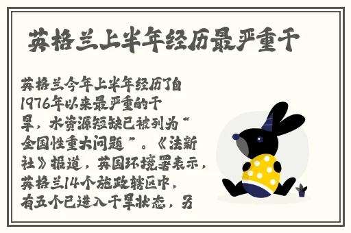 乳液78wyw